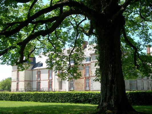 Château - Réveillon