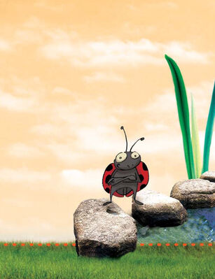 La coccinelle, symbole de la culture biologique.