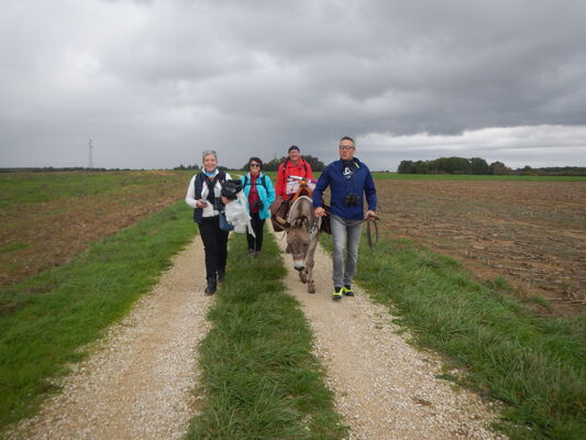 Randonnée avec un âne