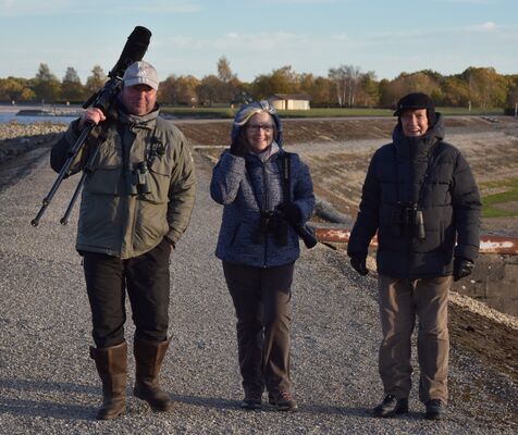 Thierry Lacombe - Guide ornithologue