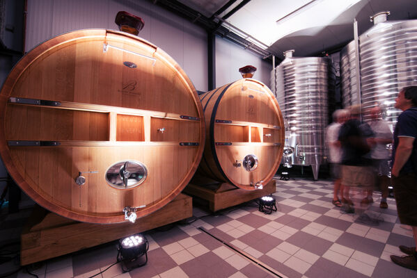 Foudre-Chene-Beerens