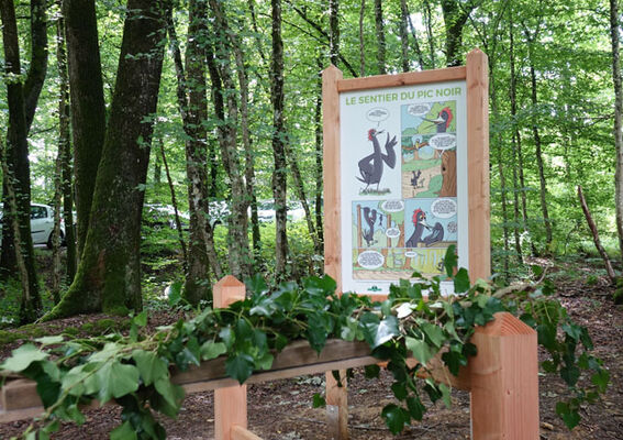 Un jour en forêt d'exception