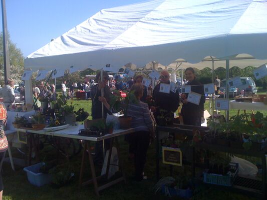 Brocante sur terrain municipal