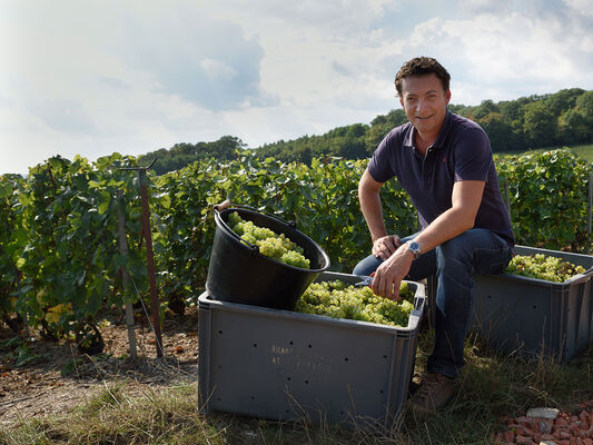 Ay-eco-visite - James Richard Fliniaux