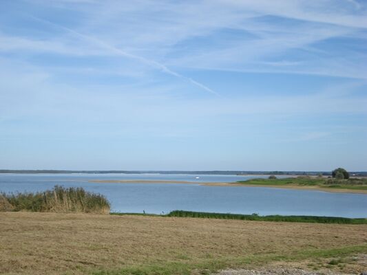 Plage - Lac du Der