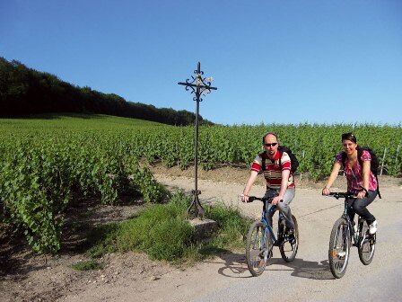 Location de vélo - Mancy