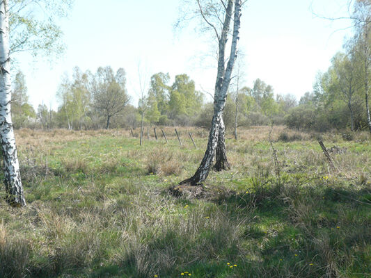 RN de Reuves Prairie humide
