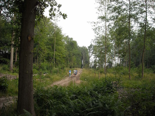 Randonnée