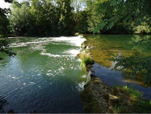 amis-de-la-peche3