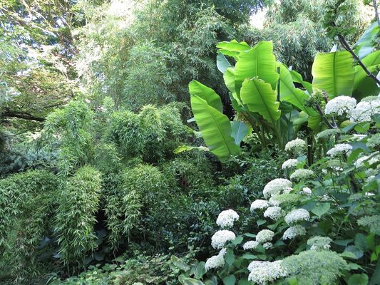 Jardin du Clos Saint Saturnin