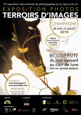TerroirsImages2018
