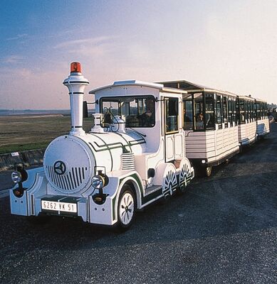 Train aux Oiseaux - Giffaumont Champaubert