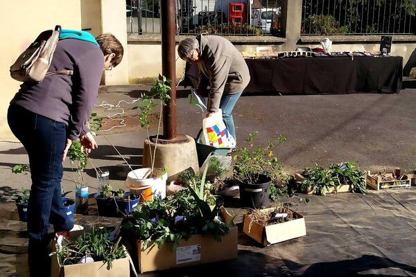 Troc aux plantes 2017 ©La Verdonnelle