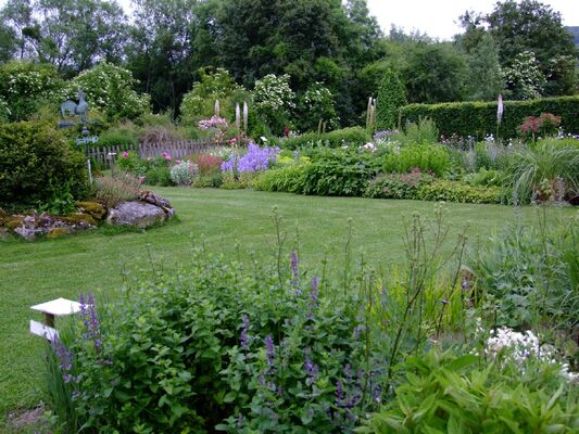 Vivaces Jardin de La Presle