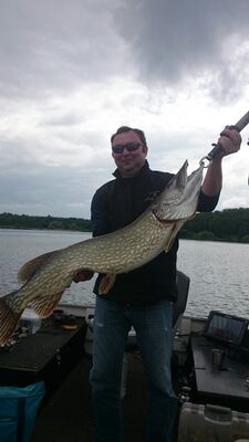 Brochet