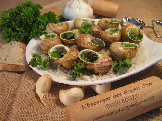 L'Escargot des Grands Crus - Bouzy