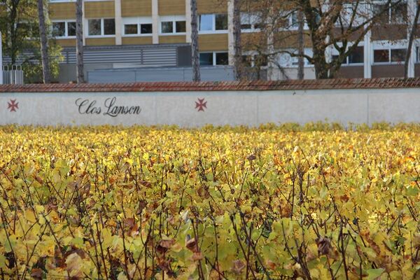 Maison de Champagne Lanson - Reims