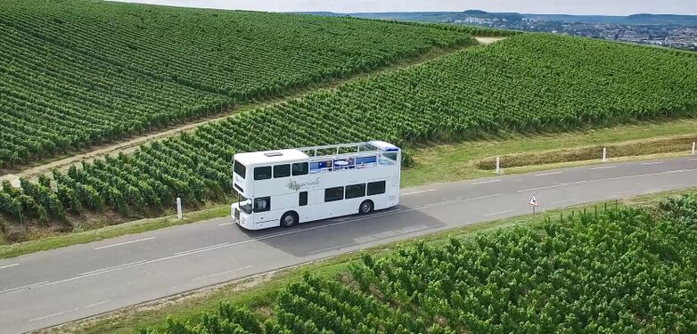 L'Impériale de Marie-Antoinette dans les vignes