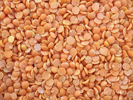 Lentilles