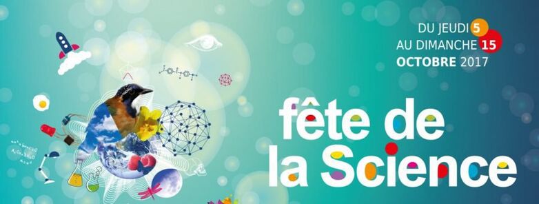 logo-horizontal-fds-2017-900x375-3302415