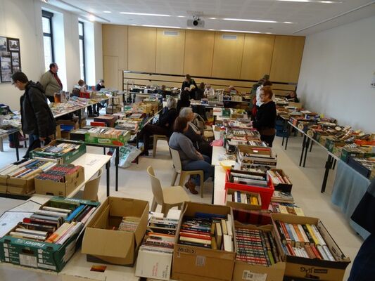 Les puces aux livres de Sézanne