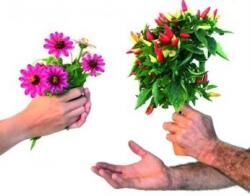 troc plants