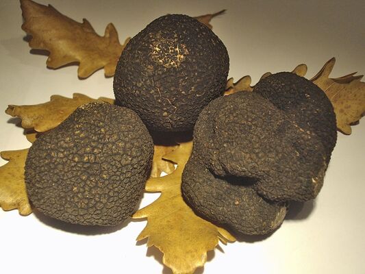truffes-souply-menu-chalons
