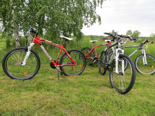 vtt8