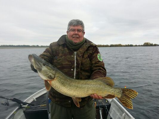 Brochet