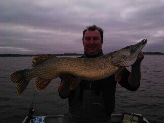 Brochet