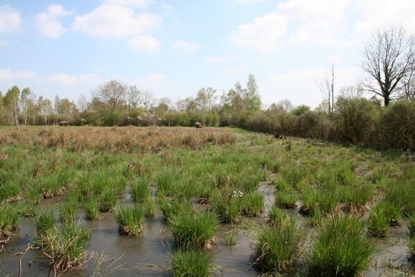 Réserve Naturelle Régionale du Marais de Reuves