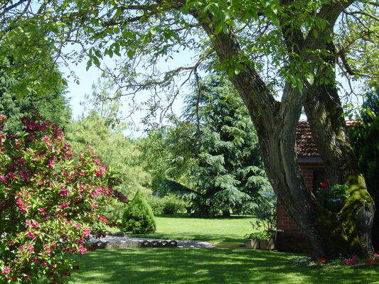 le jardin