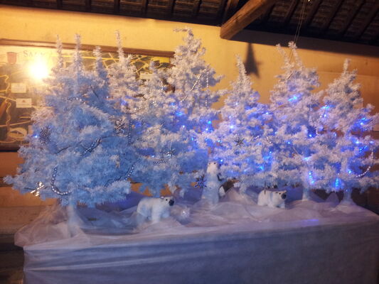 Un hiver à Sacy