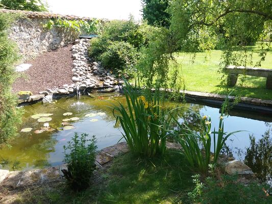 le bassin à poissons