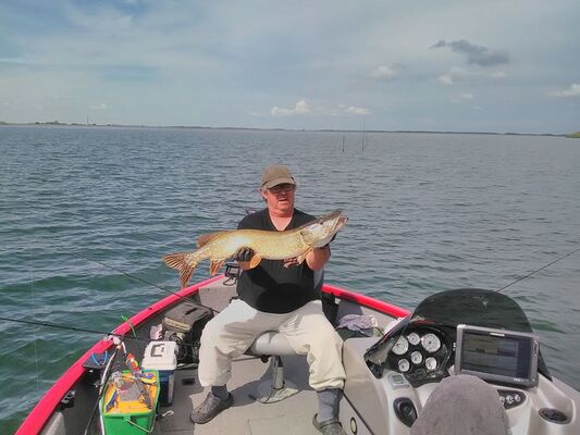 Brochet