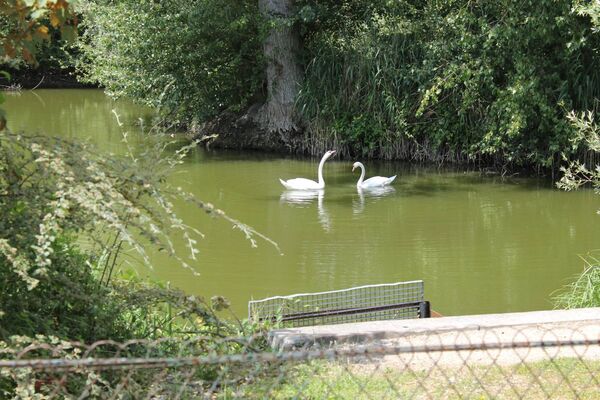 camping-chalons-en-champagne-etang