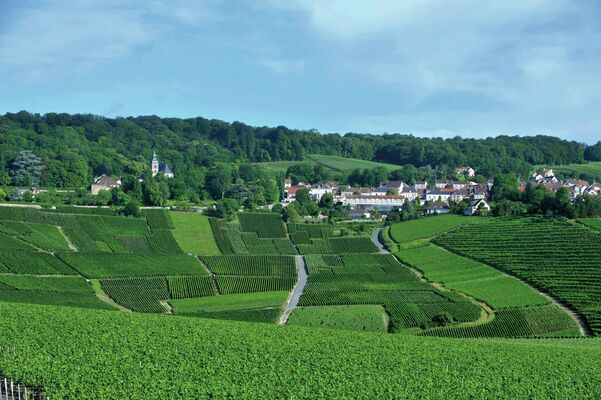 Hautvillers, au coeur des Coteaux historiques des Paysages du champagne