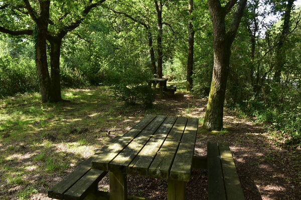 aire-picnic-chaussee-neuve-est-4-2