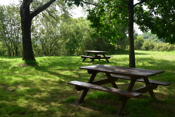 aire-picnic-chaussee-neuve-est-2