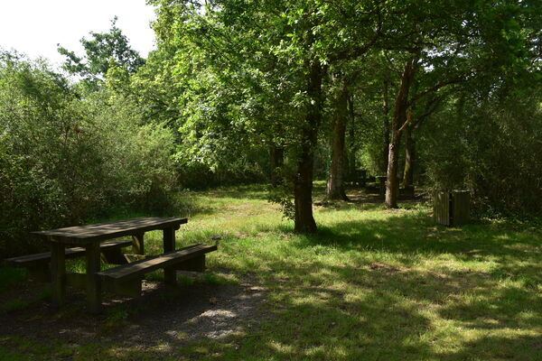 aire-picnic-chaussee-neuve-est-3-2