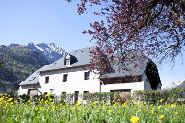 MONTANNE PATURAGE (4)
