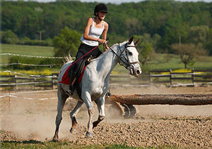 Argelès équitation