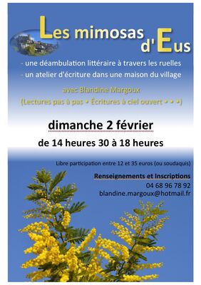 Blandine Margoux - Mimosa - Feěvrier 2020 - 1 date - A6 pour A4