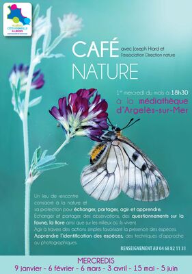 Cafe nature