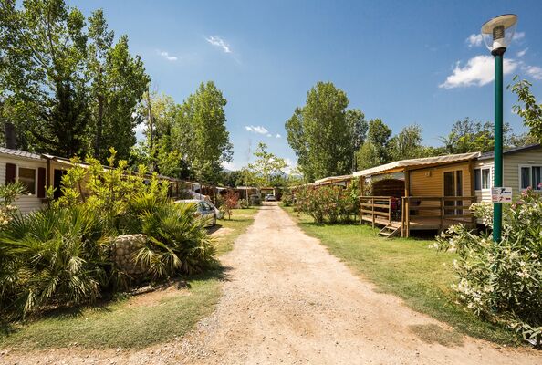 Camping Al Sol 2018 (1)