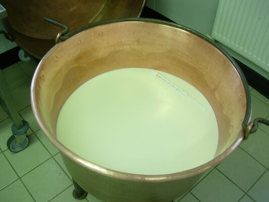 Fabrication du fromage