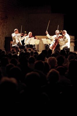 Festival Pablo Casals - Josep Molina