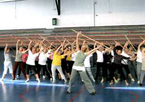 Gymnastique volontaires Les Increvables