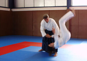 L'art de l'Aikido