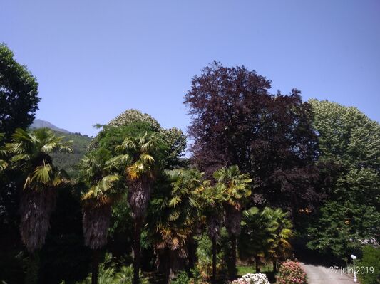 P_20190627_120647_p